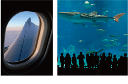 飛行機の窓/水族館の水槽